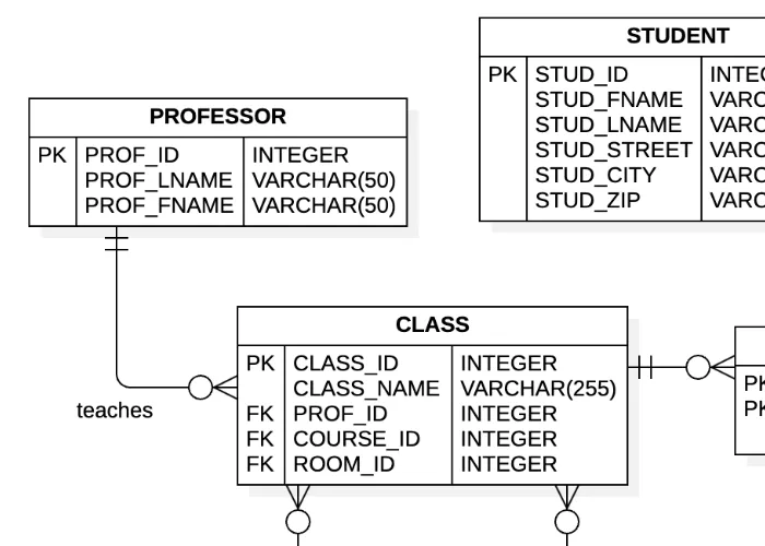 实体关系图示例